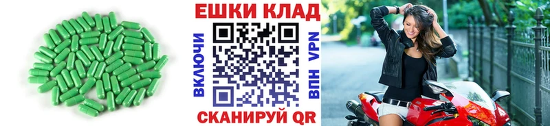Ecstasy Philipp Plein  Купить закладки  Жиздра 