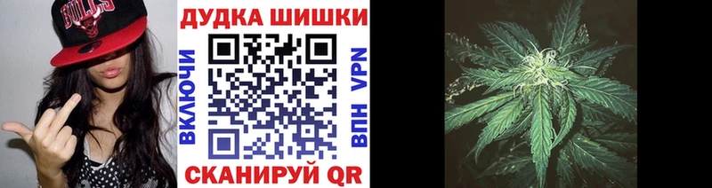 Марихуана семена  Купить закладки  Жиздра 
